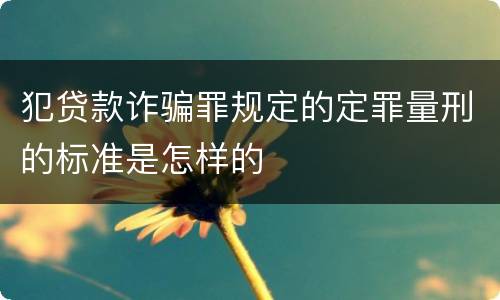 犯贷款诈骗罪规定的定罪量刑的标准是怎样的