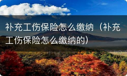 补充工伤保险怎么缴纳（补充工伤保险怎么缴纳的）