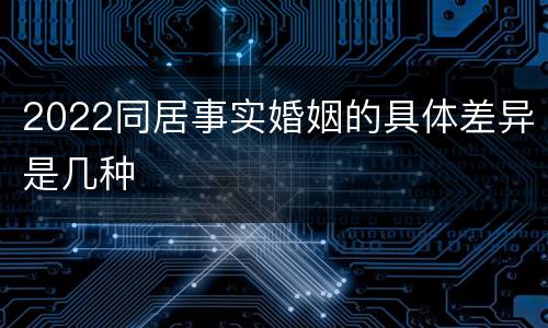 2022同居事实婚姻的具体差异是几种