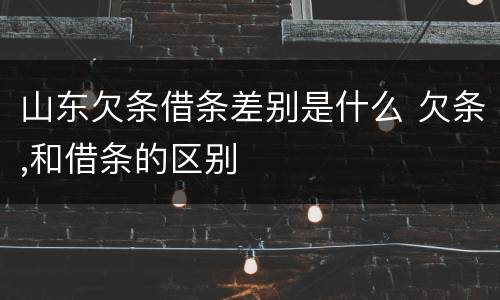 山东欠条借条差别是什么 欠条,和借条的区别