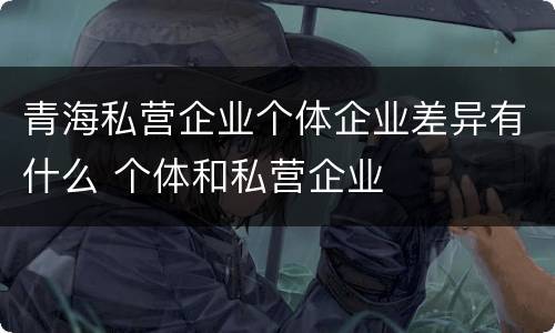 青海私营企业个体企业差异有什么 个体和私营企业
