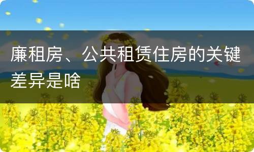 廉租房、公共租赁住房的关键差异是啥