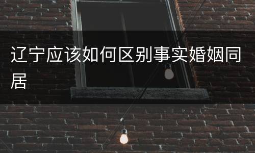 辽宁应该如何区别事实婚姻同居