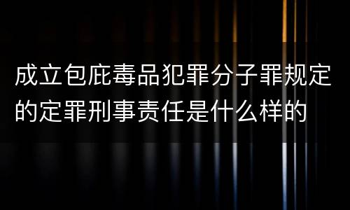 成立包庇毒品犯罪分子罪规定的定罪刑事责任是什么样的