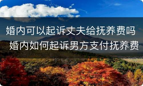 婚内可以起诉丈夫给抚养费吗 婚内如何起诉男方支付抚养费