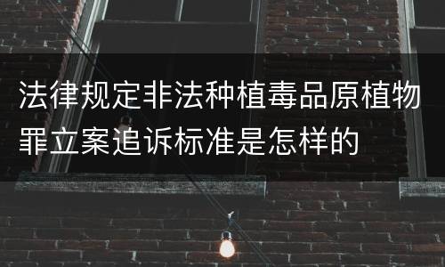 法律规定非法种植毒品原植物罪立案追诉标准是怎样的