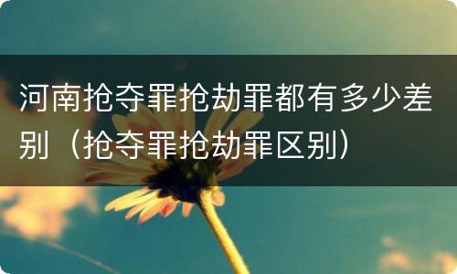 河南抢夺罪抢劫罪都有多少差别（抢夺罪抢劫罪区别）