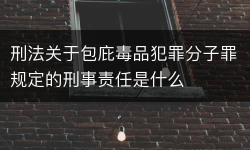 刑法关于包庇毒品犯罪分子罪规定的刑事责任是什么