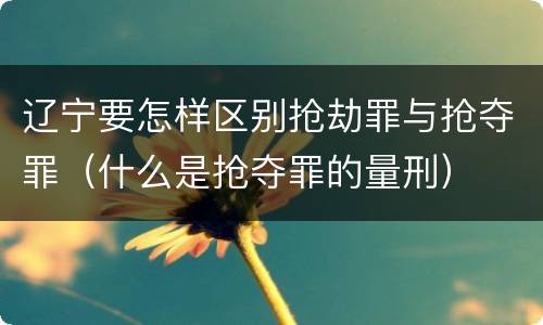 辽宁要怎样区别抢劫罪与抢夺罪（什么是抢夺罪的量刑）