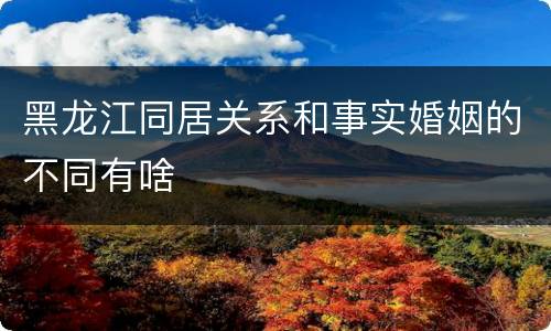 黑龙江同居关系和事实婚姻的不同有啥