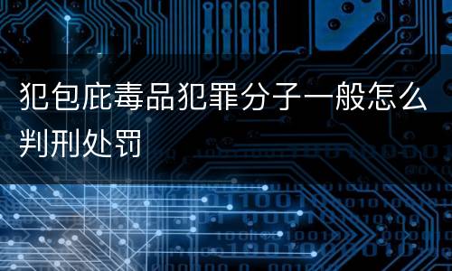 犯包庇毒品犯罪分子一般怎么判刑处罚