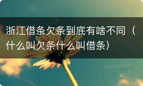 浙江借条欠条到底有啥不同（什么叫欠条什么叫借条）