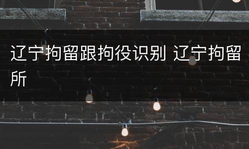 辽宁拘留跟拘役识别 辽宁拘留所