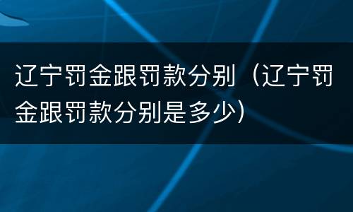 辽宁罚金跟罚款分别（辽宁罚金跟罚款分别是多少）