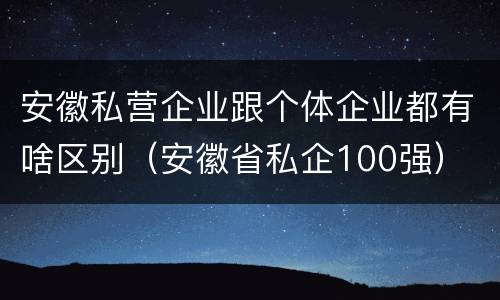 安徽私营企业跟个体企业都有啥区别（安徽省私企100强）
