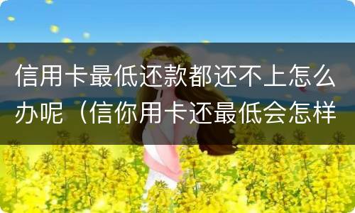 信用卡最低还款都还不上怎么办呢（信你用卡还最低会怎样）