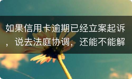 如果信用卡逾期已经立案起诉，说去法庭协调，还能不能解决