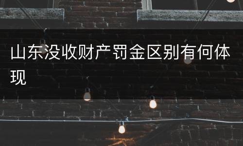 山东没收财产罚金区别有何体现
