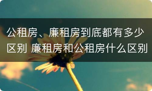 公租房、廉租房到底都有多少区别 廉租房和公租房什么区别