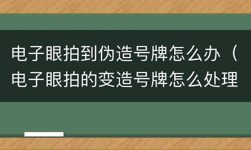 电子眼拍到伪造号牌怎么办（电子眼拍的变造号牌怎么处理）