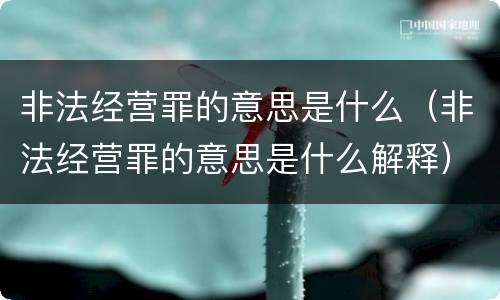 非法经营罪的意思是什么（非法经营罪的意思是什么解释）
