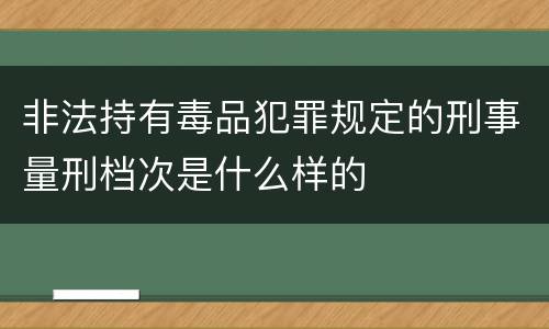 非法持有毒品犯罪规定的刑事量刑档次是什么样的