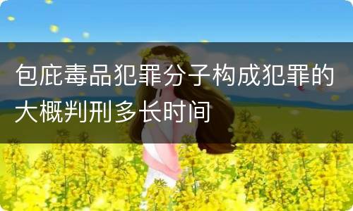 包庇毒品犯罪分子构成犯罪的大概判刑多长时间