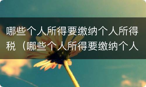 哪些个人所得要缴纳个人所得税（哪些个人所得要缴纳个人所得税）