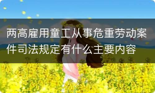 两高雇用童工从事危重劳动案件司法规定有什么主要内容