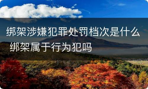 绑架涉嫌犯罪处罚档次是什么 绑架属于行为犯吗