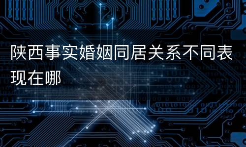 陕西事实婚姻同居关系不同表现在哪