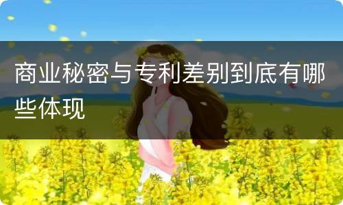 商业秘密与专利差别到底有哪些体现