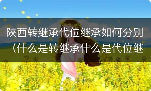 陕西转继承代位继承如何分别（什么是转继承什么是代位继承）