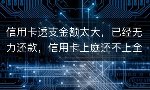 信用卡透支金额太大，已经无力还款，信用卡上庭还不上全款怎么办