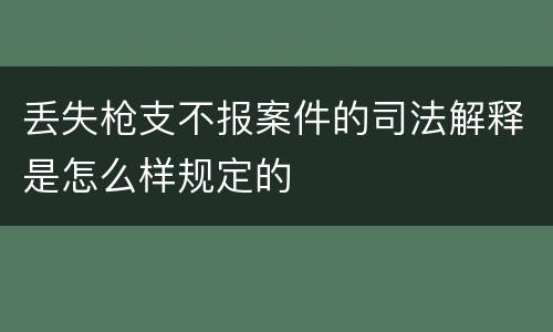 丢失枪支不报案件的司法解释是怎么样规定的