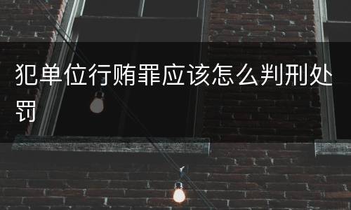 犯单位行贿罪应该怎么判刑处罚