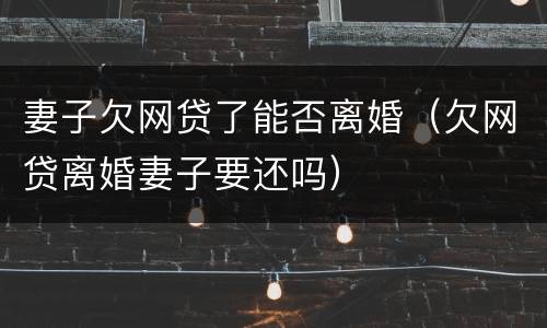 妻子欠网贷了能否离婚（欠网贷离婚妻子要还吗）