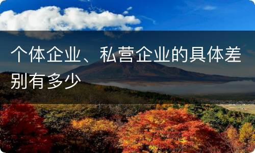 个体企业、私营企业的具体差别有多少