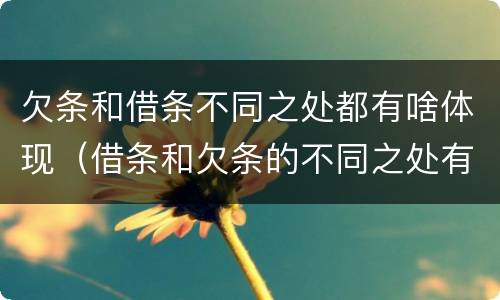 欠条和借条不同之处都有啥体现（借条和欠条的不同之处有哪些）