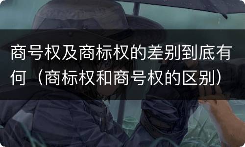商号权及商标权的差别到底有何（商标权和商号权的区别）