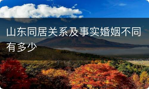 山东同居关系及事实婚姻不同有多少