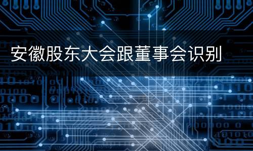 安徽股东大会跟董事会识别
