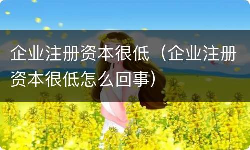 企业注册资本很低（企业注册资本很低怎么回事）