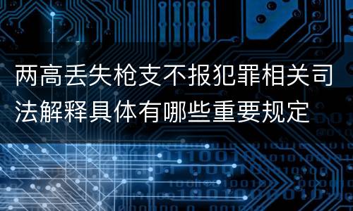 两高丢失枪支不报犯罪相关司法解释具体有哪些重要规定