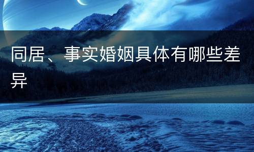 同居、事实婚姻具体有哪些差异