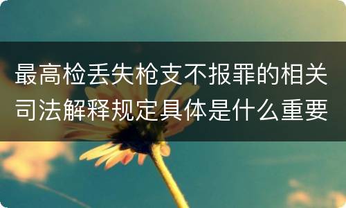 最高检丢失枪支不报罪的相关司法解释规定具体是什么重要内容