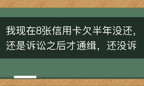 我现在8张信用卡欠半年没还，还是诉讼之后才通缉，还没诉讼