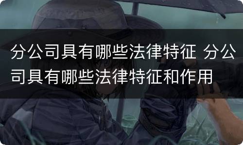 分公司具有哪些法律特征 分公司具有哪些法律特征和作用