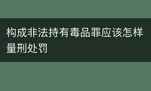 构成非法持有毒品罪应该怎样量刑处罚