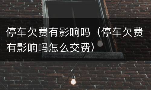 停车欠费有影响吗（停车欠费有影响吗怎么交费）